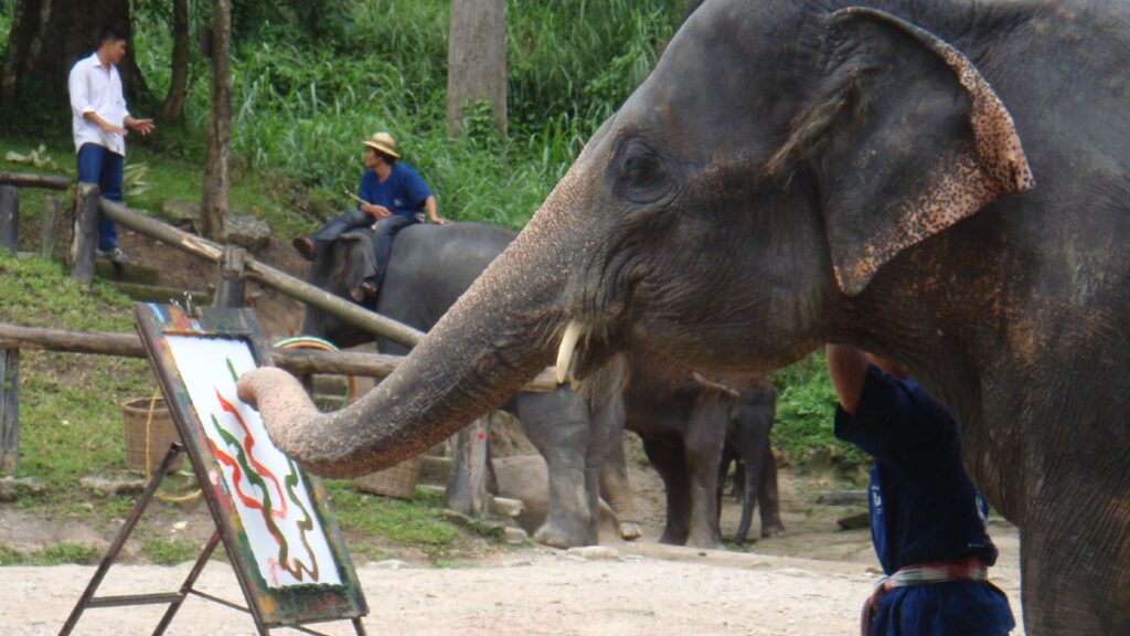 Elephant painting on canvas, highlighting controversy of elephant art