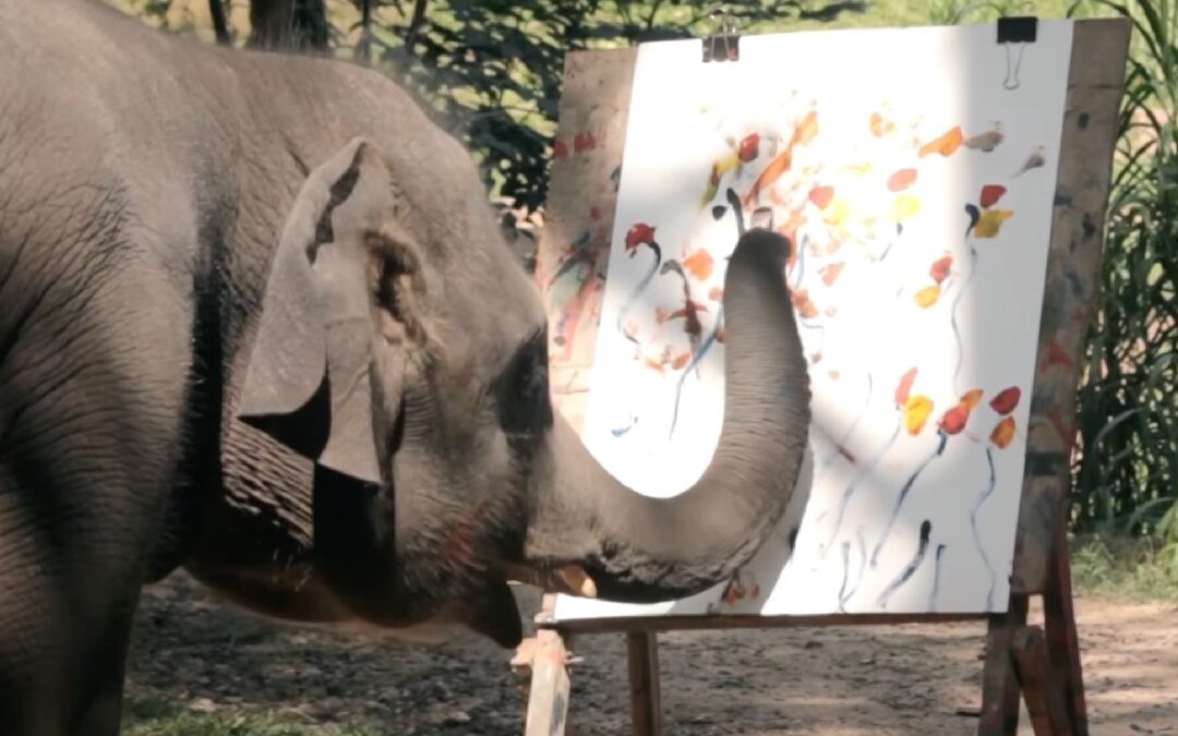 Elephant painting on canvas, showing the controversy of elephant art
