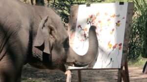 Elephant painting on canvas, showing the controversy of elephant art